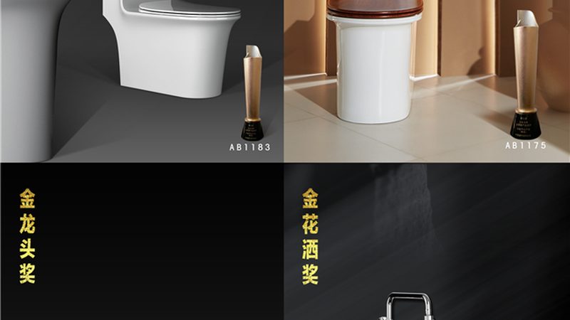 小户型装修，虹吸式还是直冲式马桶更合适？**